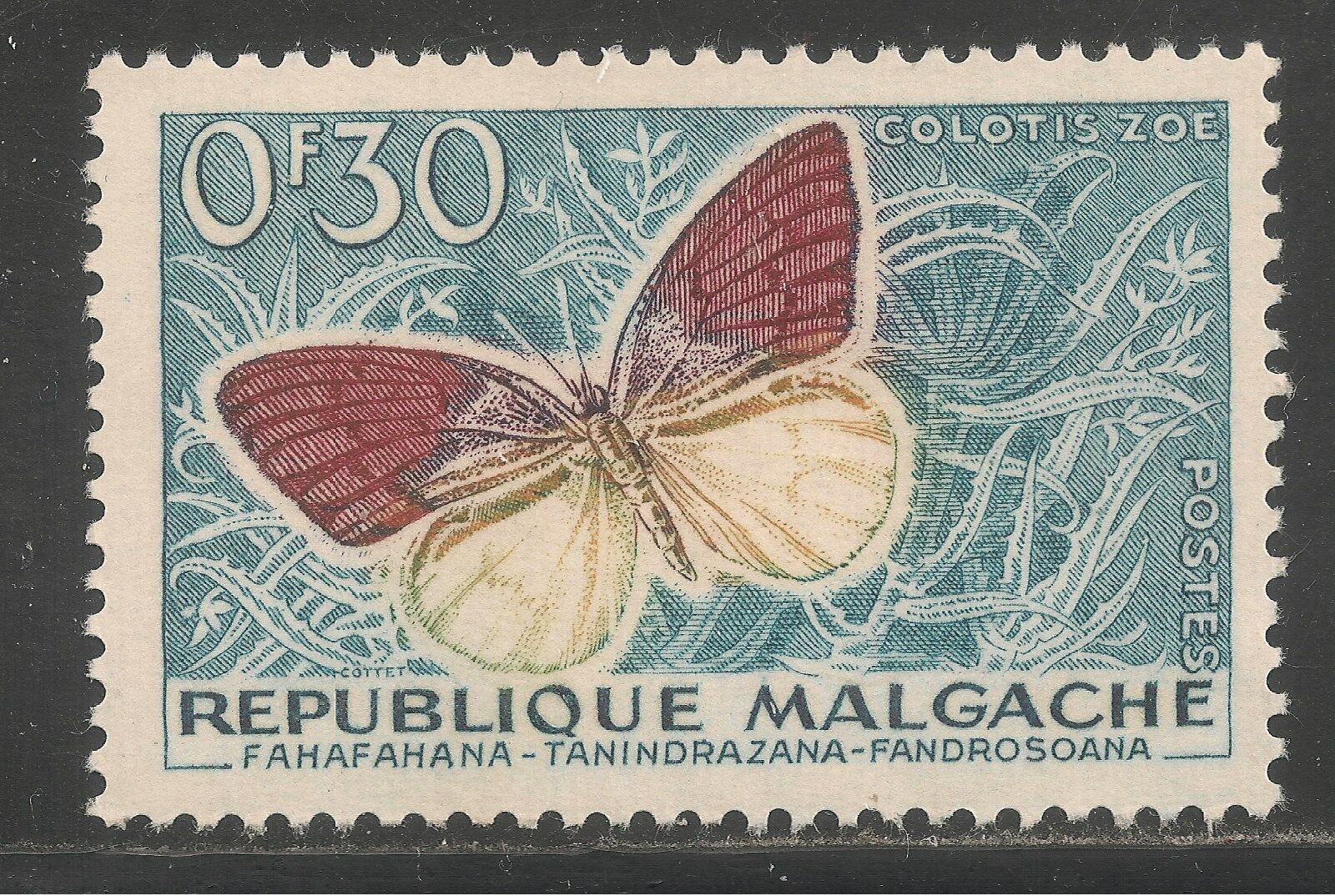 Malagasy Republic #306 (a32) Vf Mint - 1960 30c Colotis Zoe Butterfly