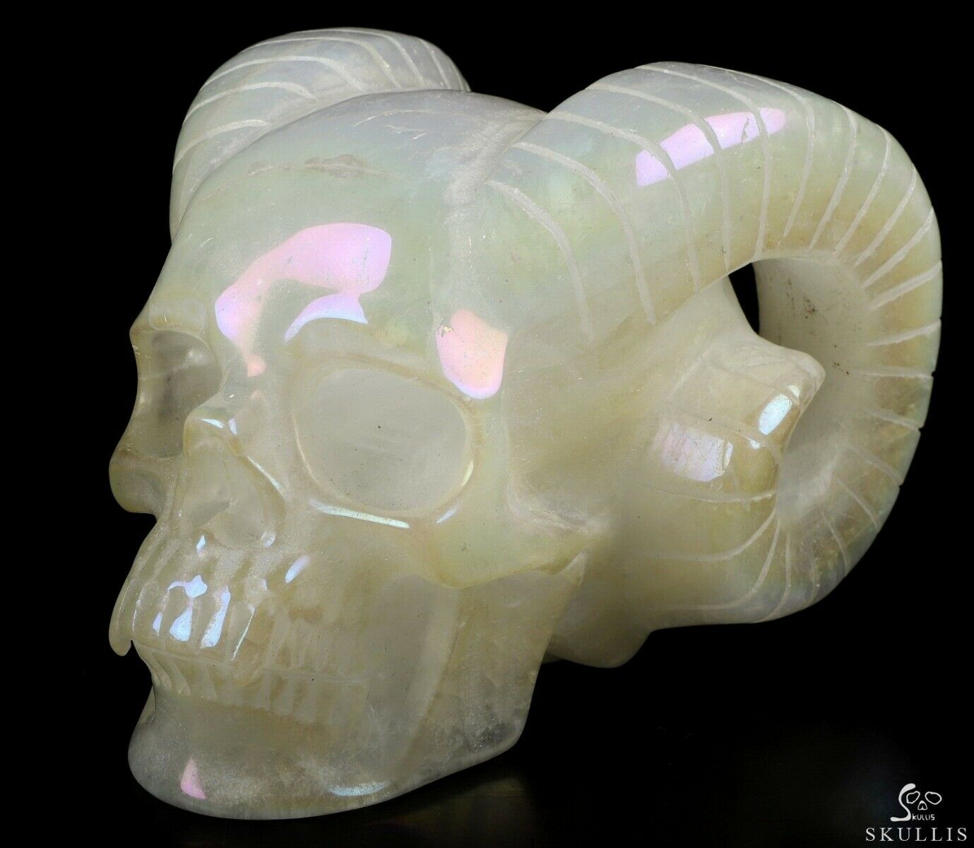 5.3" Aura Titanium Angolan Quartz Carved Crystal Horned Skull, Healing