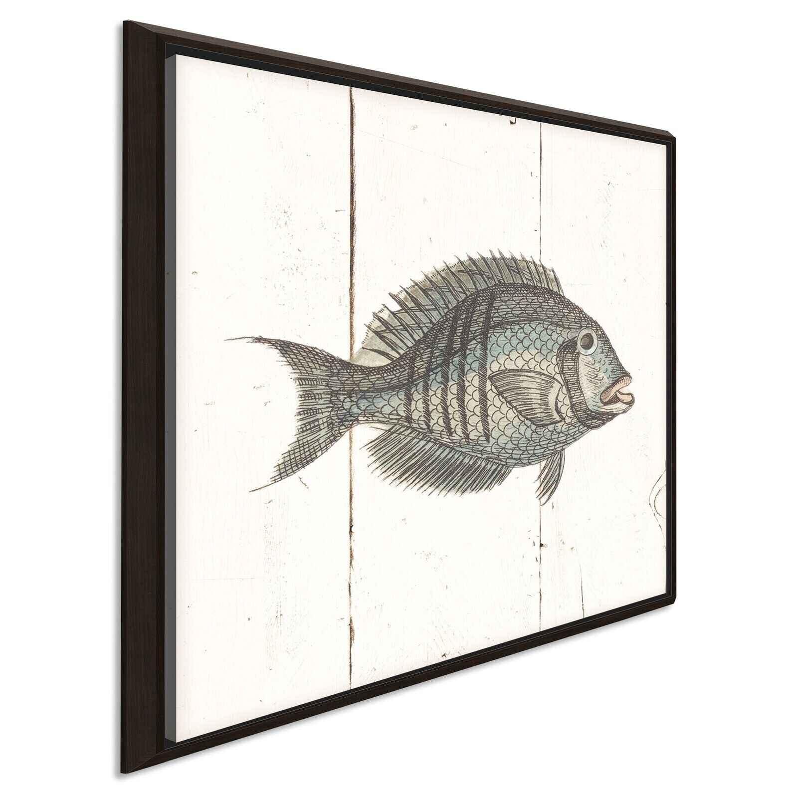 "fish Sketches I Shiplap" Giclee Stretched Canvas Wall Art  Oversized