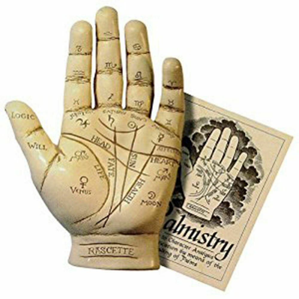 New Palmistry Hand Model Resin Sculpture W/ Booklet Fortune Telling Palm Reading