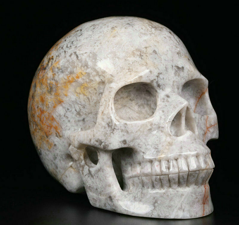 Huge 5.0" Crazy Lace Agate Carved Crystal Skull, Realistic, Crystal Healing