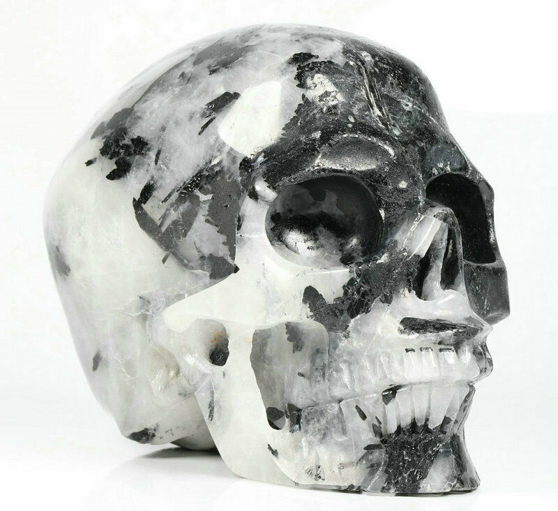 Huge 4.8" Tourmaline Crystal Quartz Carved Skull, Realistic, Crystal Healing
